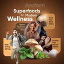 mushroom-coffee-10-mushroom-extract-powd-4.jpg