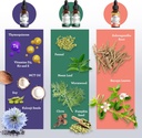 gurunanda-total-wellness-boost-with-liqu-4.jpg