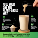 vedge-vegan-protein-powder---plant-prote-3.jpg
