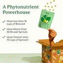 plant-people-wondergreens-veggie-gummies-3.jpg