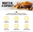 ambrosia-golden-super-turmeric-bioavaila-3.jpg