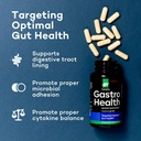 daiwa-gastro-health-natural-digestion-ai-4.jpg
