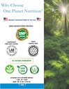 one-planet-nutrition-nano-ginger-root-25-4.jpg