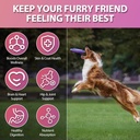 dog-vitamins-24-in-1-dog-vitamins-and-su-4.jpg