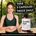 santa-cruz-paleo-creatine-capsules-suppo-5.jpg