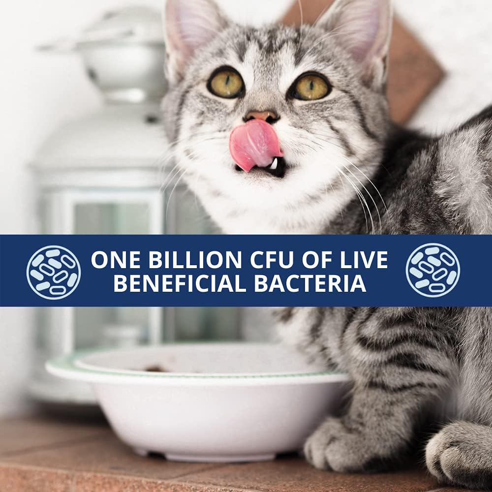 under-the-weather-pet-probiotics-powder--4.jpg
