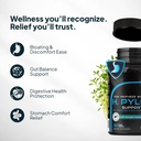 zenmen-h-pylori-support-lactobacillus-re-6.jpg