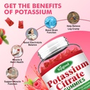 2-pack-potassium-citrate-gummies-potassi-3.jpg