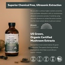 mycomax-lions-mane-extract---70-beta-glu-5.jpg