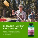 swanson-sea-cucumber---natural-supplemen-6.jpg