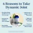 stonehenge-health-dynamic-joint-dynamic--3.jpg