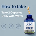 stonehenge-health-dynamic-joint-dynamic--4.jpg