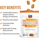 force-factor-modern-mushrooms-soft-chews-2.jpg