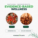 pure-berberine-supplement---1300mg-berbe-4.jpg