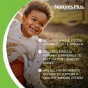 natures-plus-animal-parade-multivitamin--4.jpg
