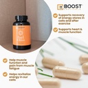 boostceuticals-d-ribose-capsules-90-pure-5.jpg