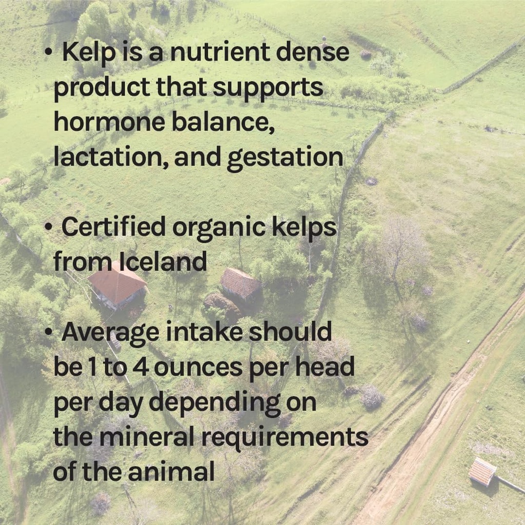 new-country-organics-i-organic-kelp-supp-5.jpg