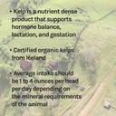 new-country-organics-i-organic-kelp-supp-5.jpg