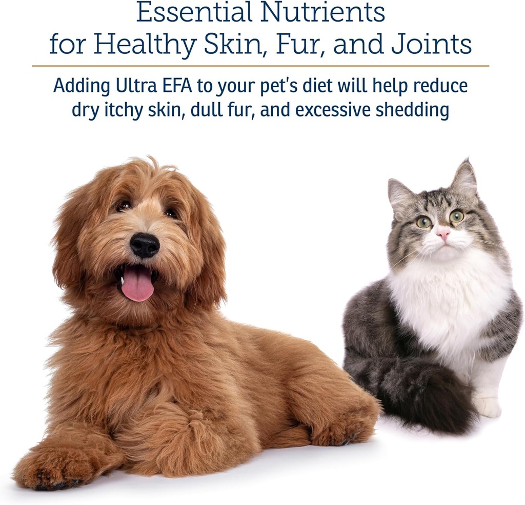 rx-vitamins-ultra-efa-omega-3-fish-oil-f-4.jpg