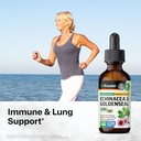 bio-krauter-echinacea-and-goldenseal-roo-2.jpg