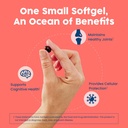nativepath-wild-caught-antarctic-krill-o-4.jpg