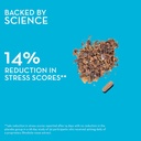 hum-big-chill-rhodiola-rosea-supplement--3.jpg