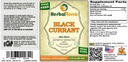 black-currant-ribes-nigrum-tincture-drie-2.jpg