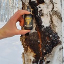 life-cykel---chaga-mushroom-extract-with-3.jpg