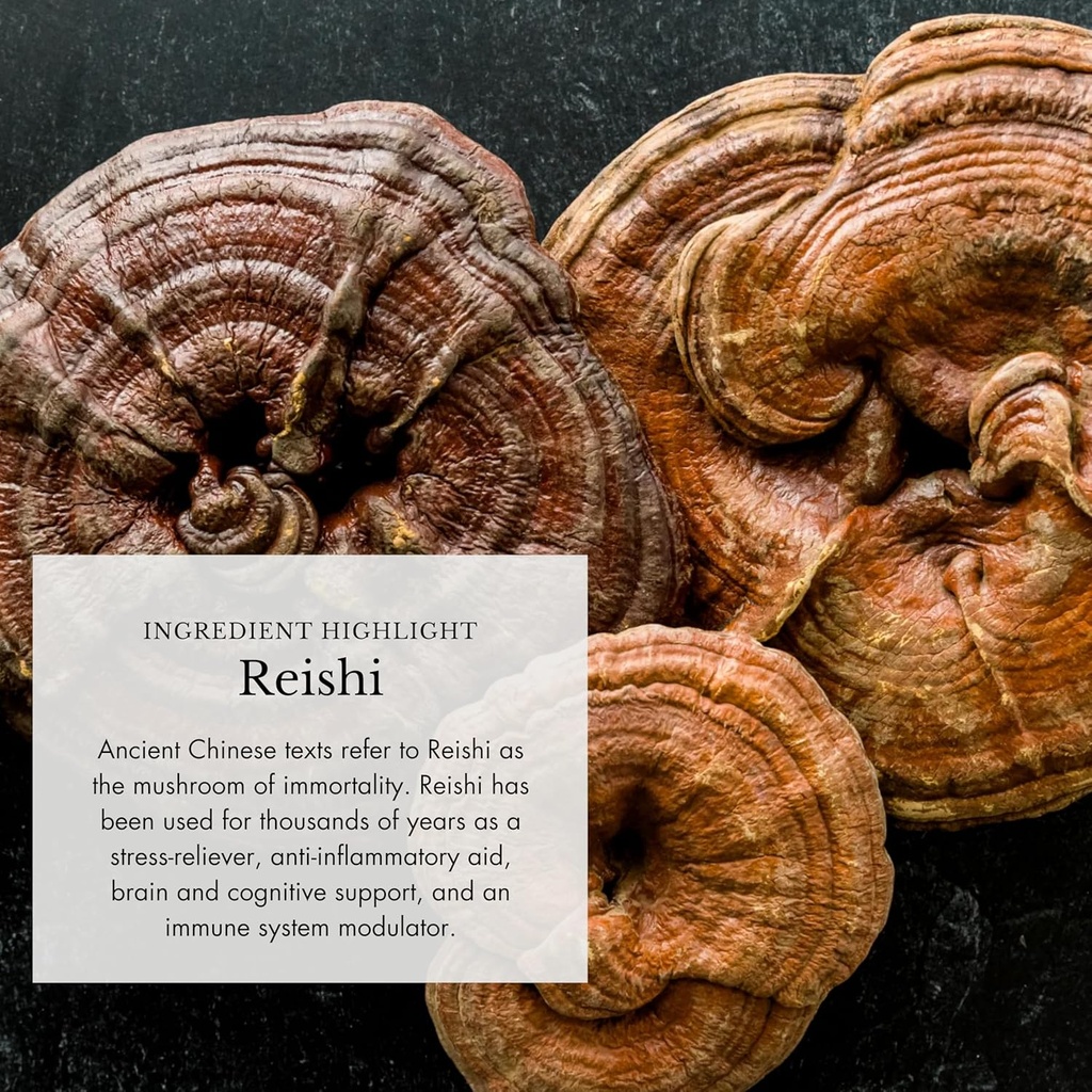 anima-mundi-apothecary-organic-mushroom--4.jpg