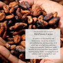 anima-mundi-apothecary-organic-mushroom--6.jpg