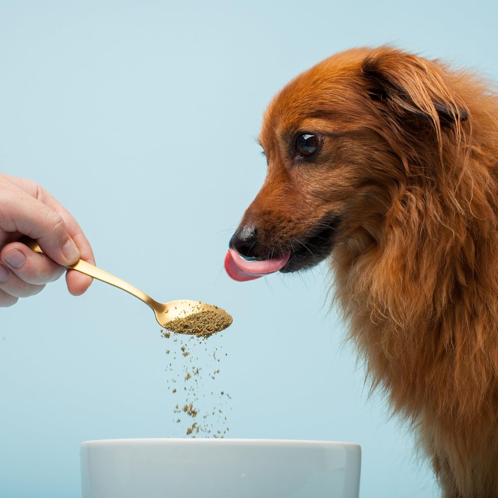 the-missing-link-pet-kelp-canine-probiot-2.jpg