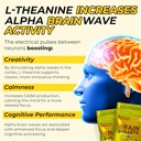 80mg-caffeine-160mg-l-theanine-focus-enh-5.jpg