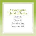 herbalfactors-by-natural-factors-liv-gal-5.jpg