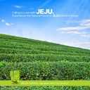 jelly-sticks---matcha-flavored-for-bette-5.jpg