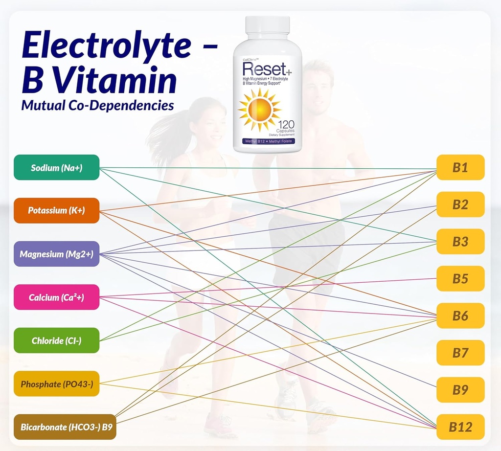 reset-7-energy-electrolytes-high-methyl--3.jpg