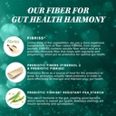 prebiotic-fiber-powder-supplement-health-5.jpg