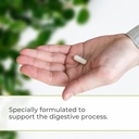 youngevity-ultimate-enzymes---digestive--4.jpg