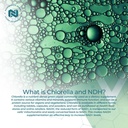 nootropics-depot-nadh-chlorophyll-10mg-c-4.jpg
