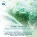 nootropics-depot-nadh-chlorophyll-10mg-c-5.jpg