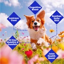 wild-alaskan-salmon-pollock-oil-for-dogs-2.jpg