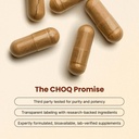 choq-shilajit---over-50-fulvic-acid-500--2.jpg