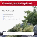 physicians-strength-wild-oregano-essence-3.jpg