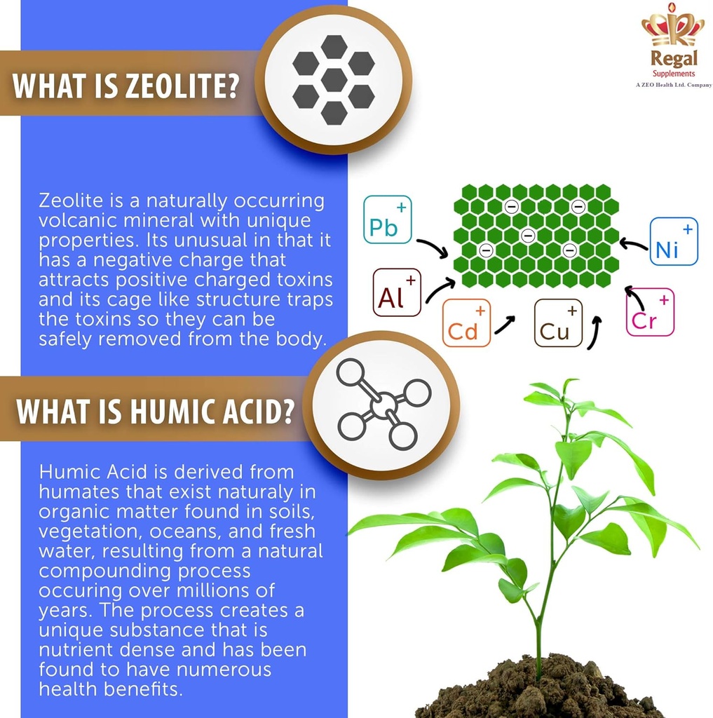 zeoliteav-capsules-potent-immune-system--4.jpg