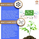 zeoliteav-capsules-potent-immune-system--4.jpg