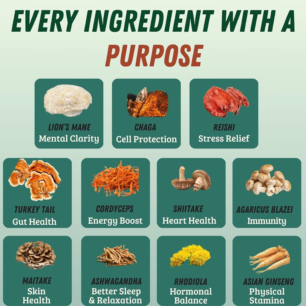 mushroom-powder-mushroom-blend---organic-3.jpg