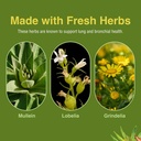 herbs-etc-lung-tonic---lung-supplement-f-6.jpg