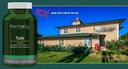 tulsi---holy-basil-supplement---highest--6.jpg