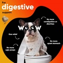 probiotics-for-dogs-pet-dog-probiotics-a-3.jpg