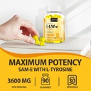 sam-e-gummies-with-l-tyrosine-vitamin-b--3.jpg