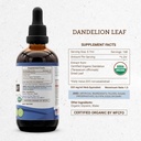 secrets-of-the-tribe-dandelion-leaf-usda-4.jpg